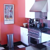 Venice Beach Contemporary Castle Designed by Architect Kenneth M. Williams - Kitchen Range Area